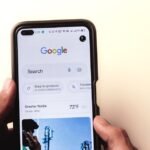seo services