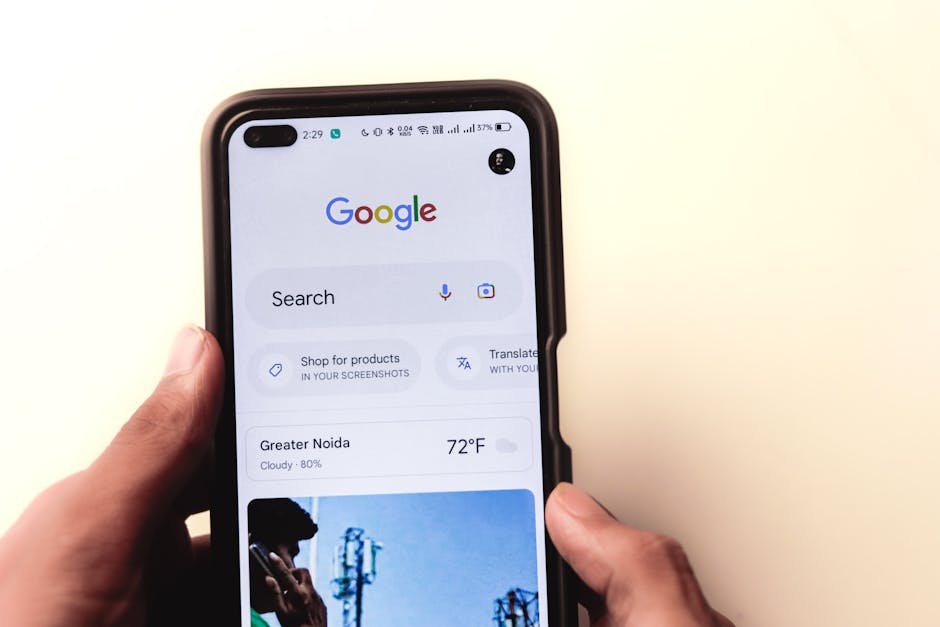 seo services